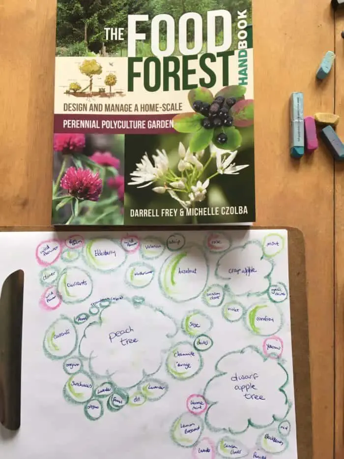 Food forest permaculture design ideas