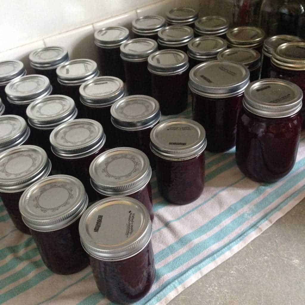 garden vegetables preserving preserve recipes homestead familyfoodgarden