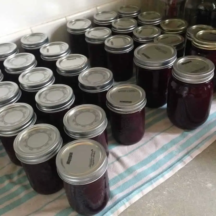 Canning fruit jam
