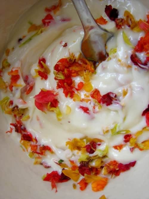 Nasturtium Flower Butter