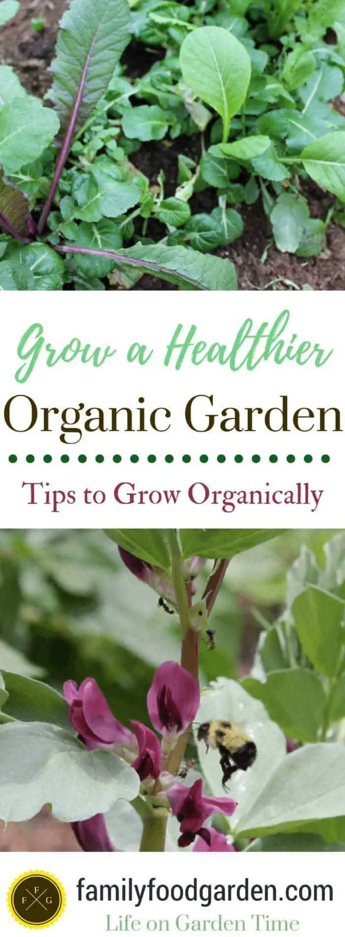 Grow a Healthier Organic Garden: Tips to Grow Organically