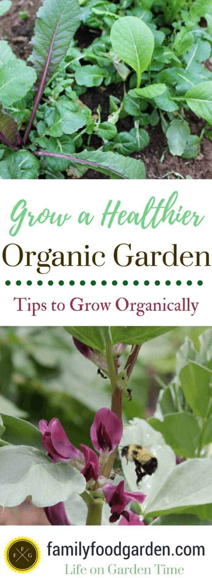 Grow a Healthier Organic Garden: Tips to Grow Organically