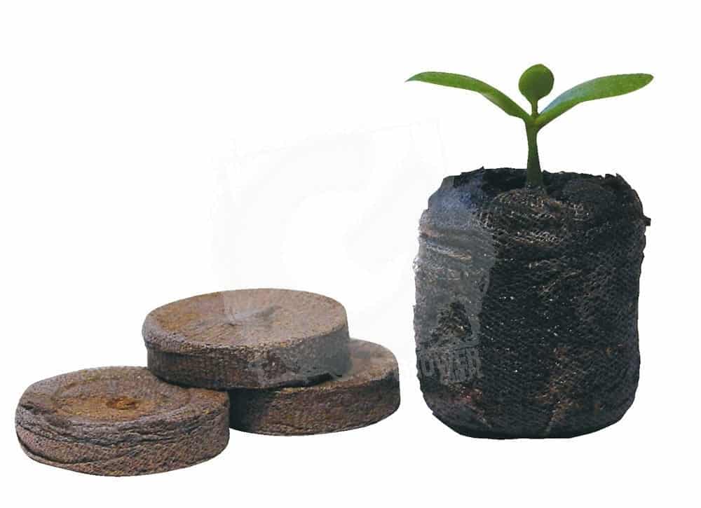 Peat pellets