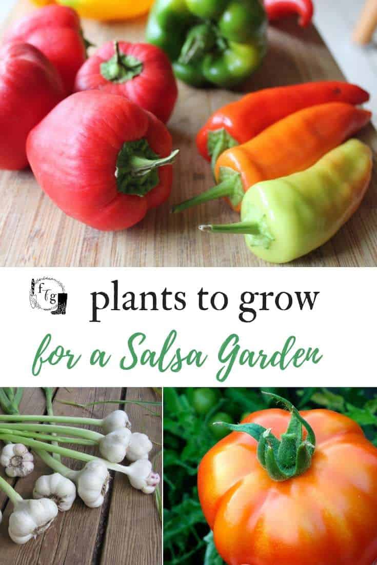 Plants to grow for a salsa garden