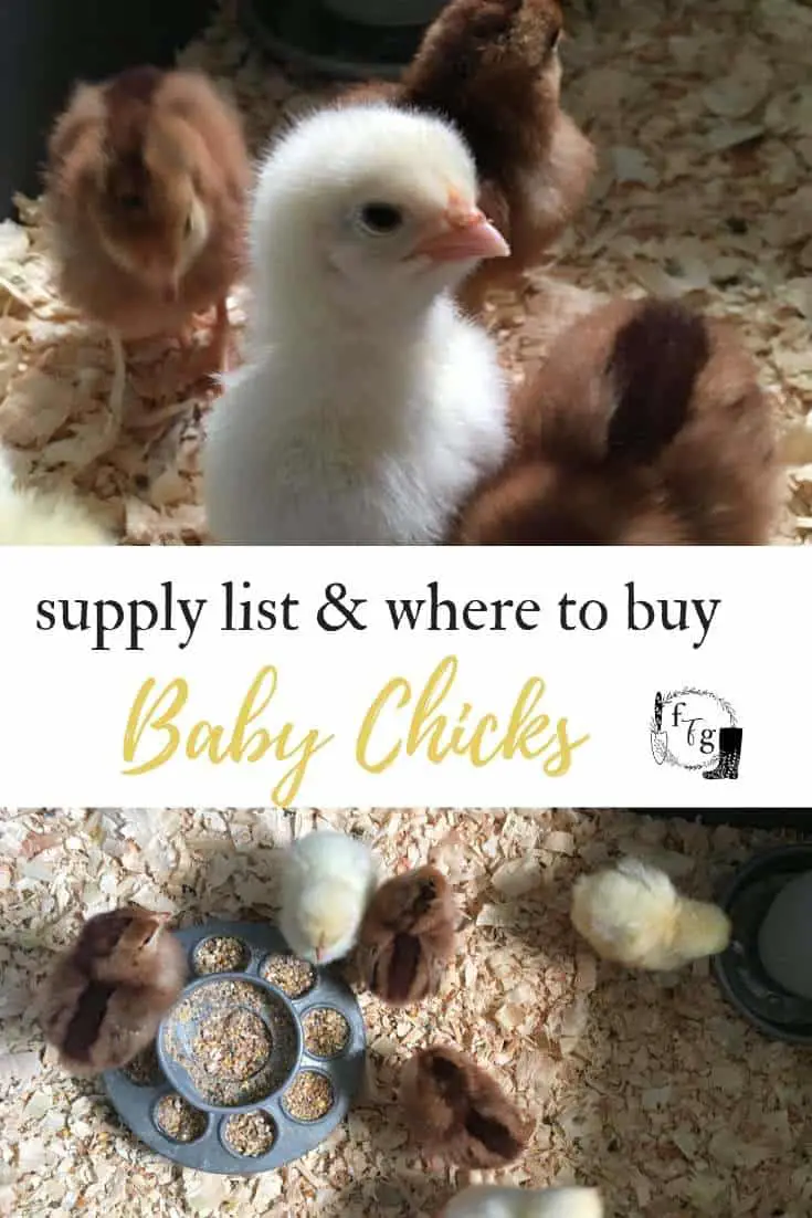 Supply list for baby chicks