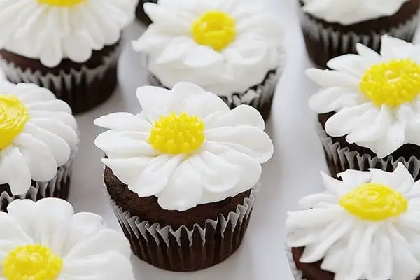 Cute daisy cupcakes