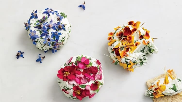 Goat Cheese with Nasturtium and Arugula Flowers