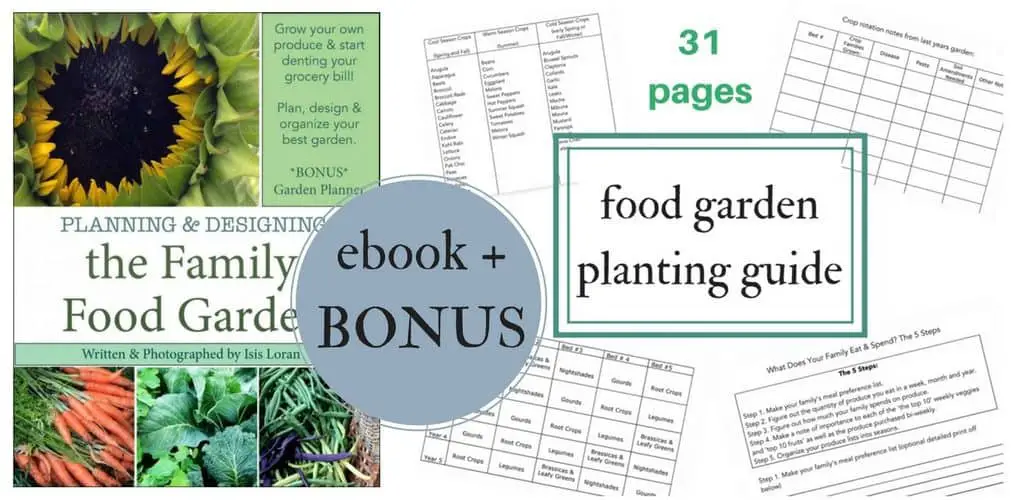 The Planning & Designing the Family Food Garden' eBook Includes a Bonus Food Garden Planting Guide