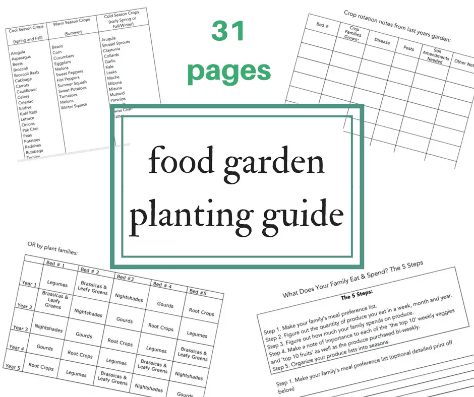 31 Pages Food Garden Planting Guide