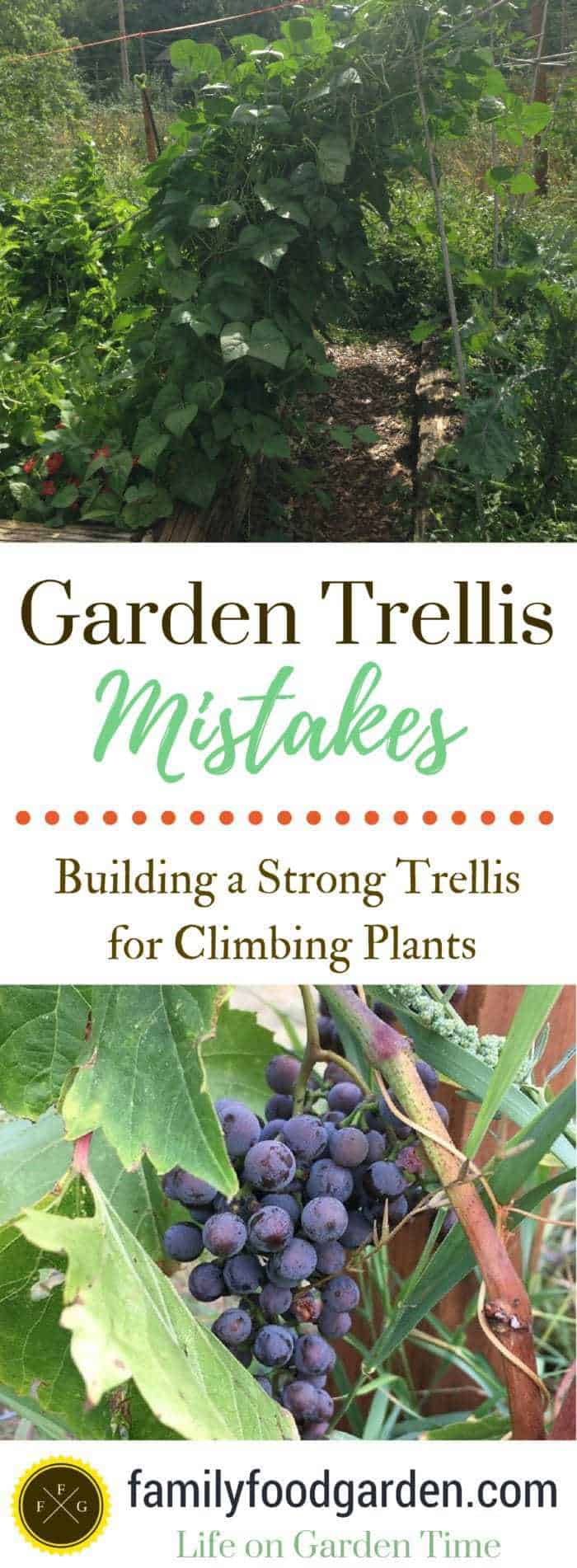 Build a strong garden trellis
