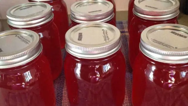 This naturally dyed Jalapeno jelly uses cranberries instead of artificial colors.