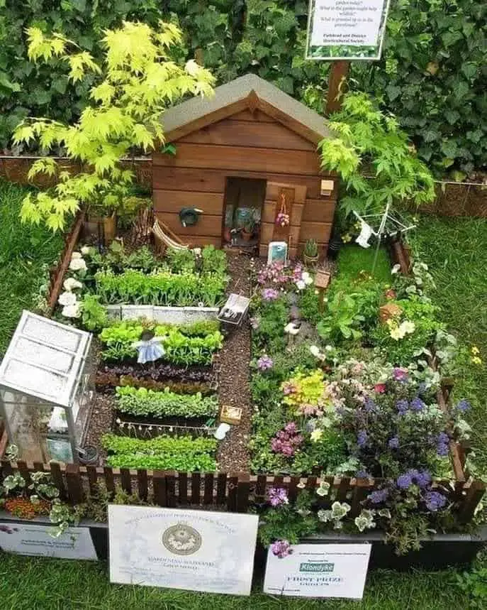 Fairy garden ideas