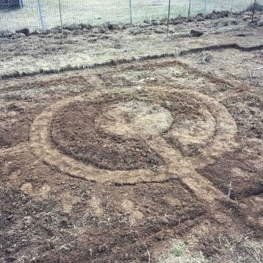 Mandala garden bed design sketch