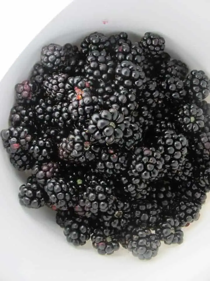 A bowl of delicious blackberries
