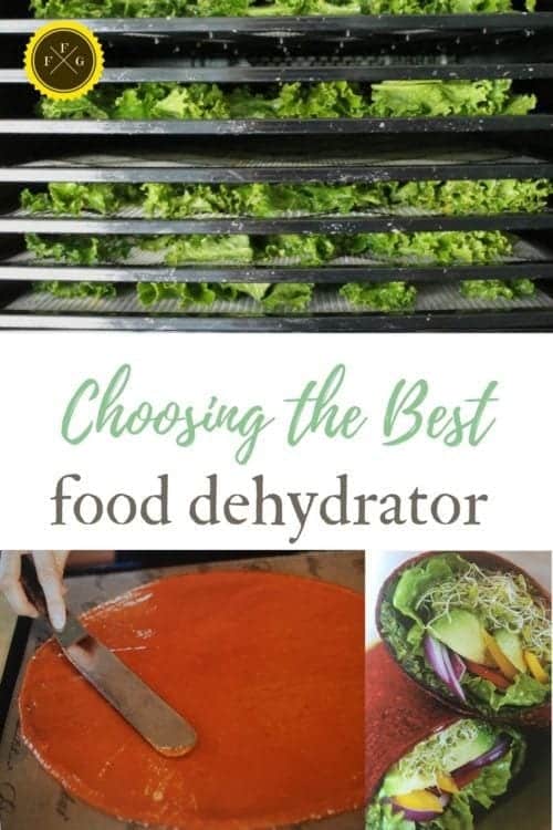 Best food dehydrator