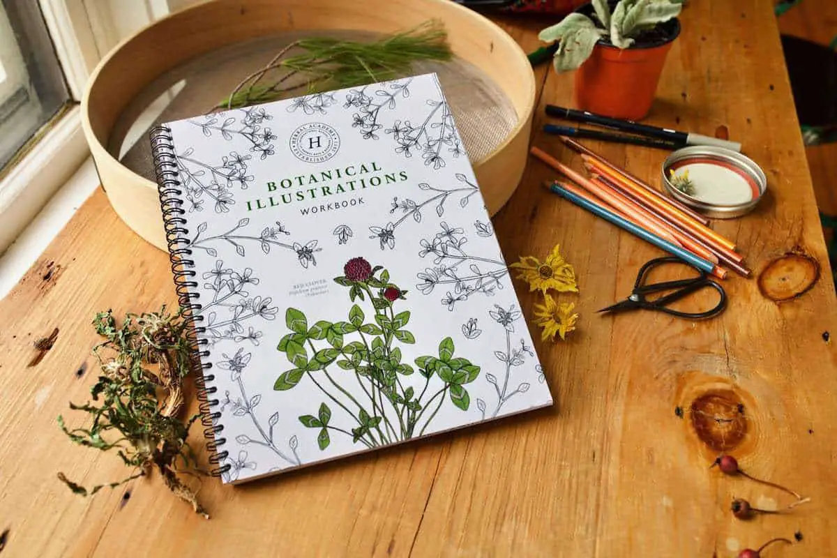 Herbal Academy: Botanical Illustrations Workbook