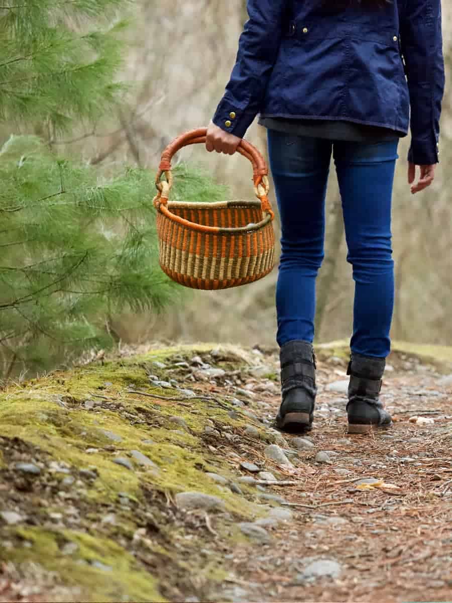 Foraging for wild edibles creates a deeper connection to wild spaces