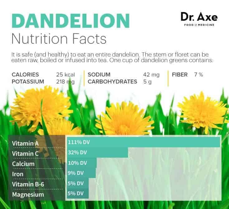 Dandelion Nutrition Facts