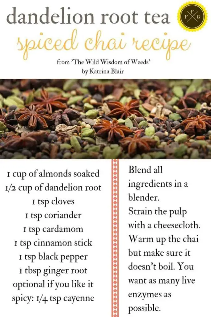 Healthy chai tea recipe using dandelion root