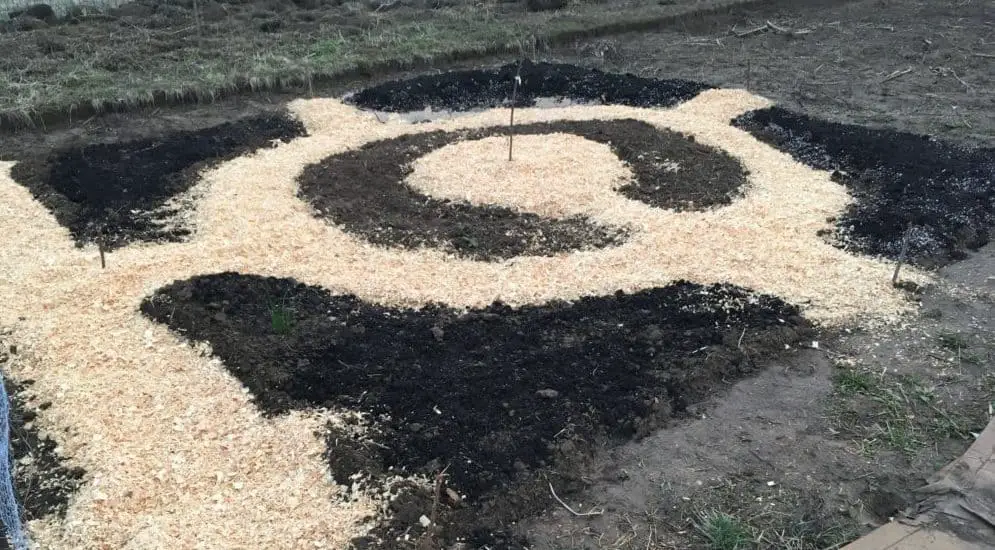 Mulch the paths with wood chips