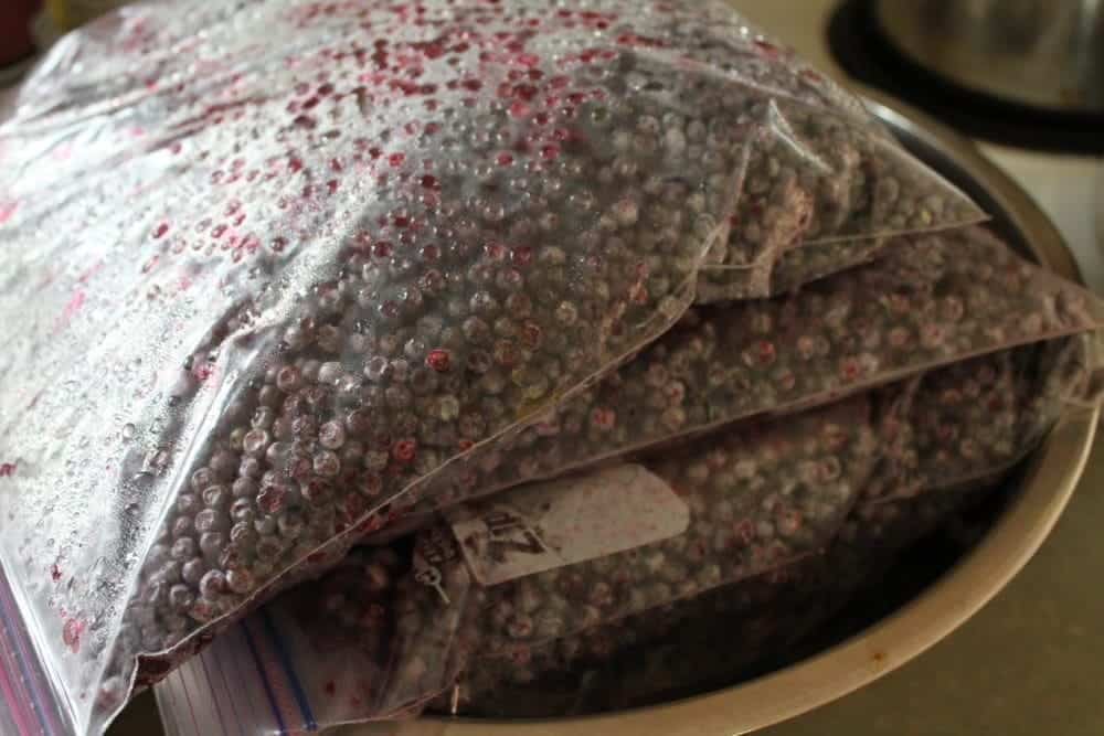 Freezing elderberries for later use