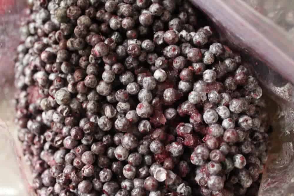 Freezing elderberries for later use