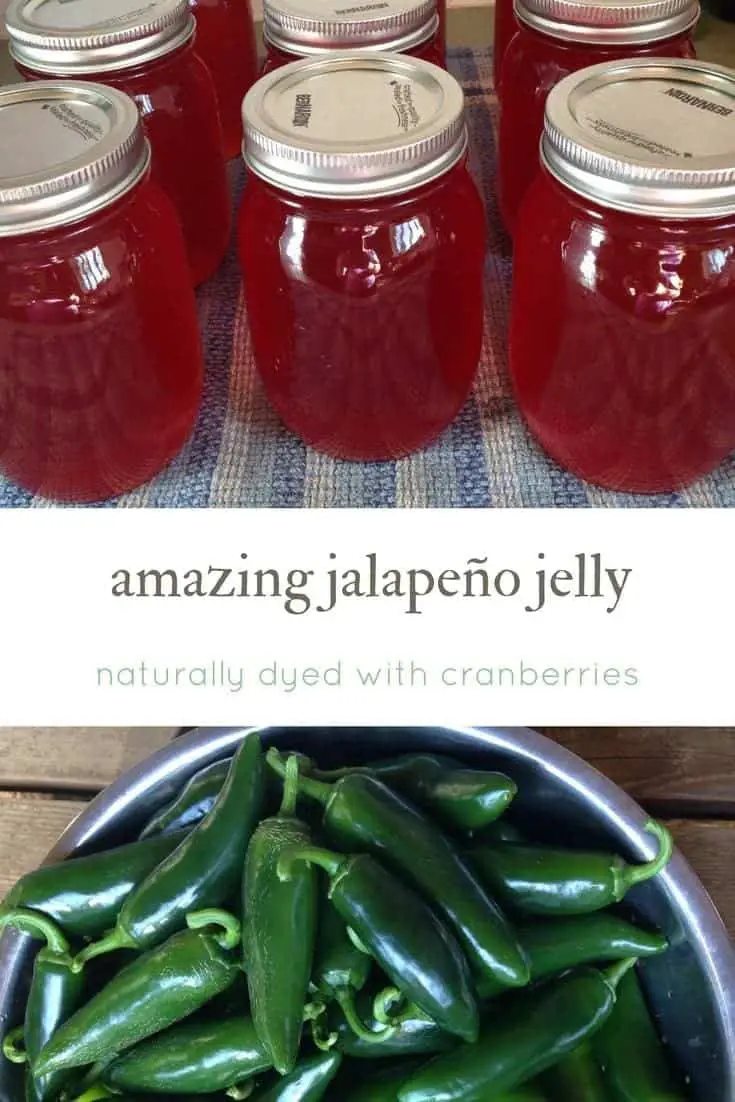 Canning Jalapeños: Red Jalapeño jelly recipe. Naturally dyed with cranberries! #canning #preserve #homestead #seasonaleating #peppers #hotpeppers