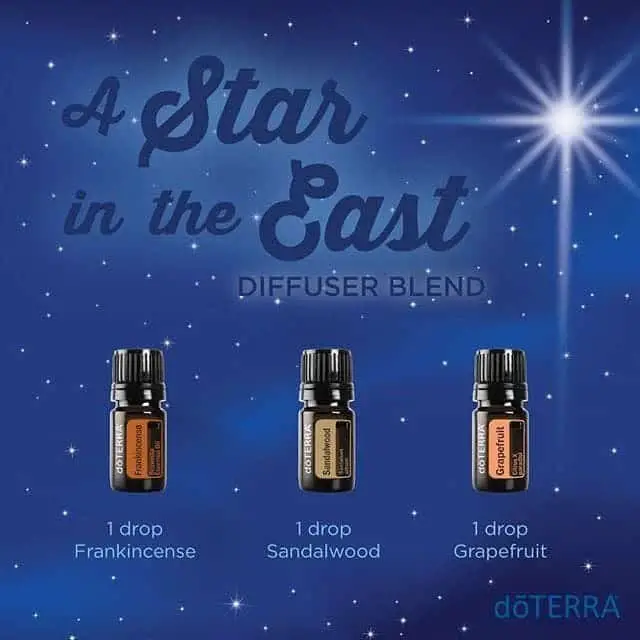 A Star In The East Diffuser Blend