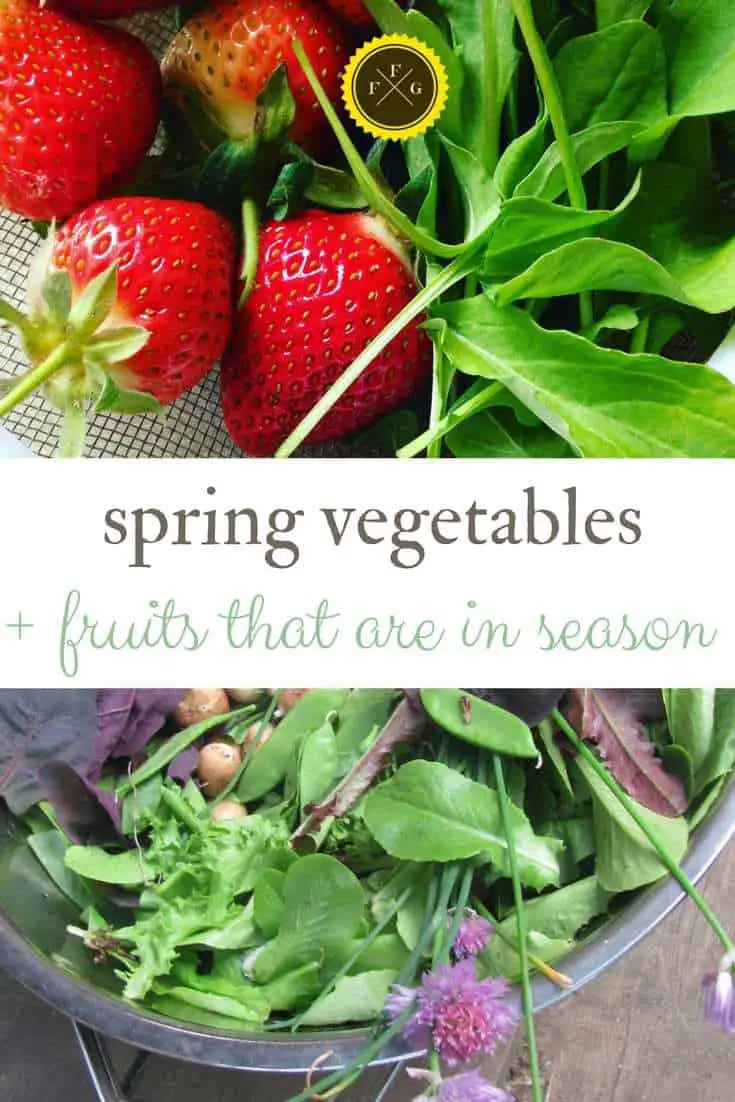Spring Vegetables | Family Food Garden