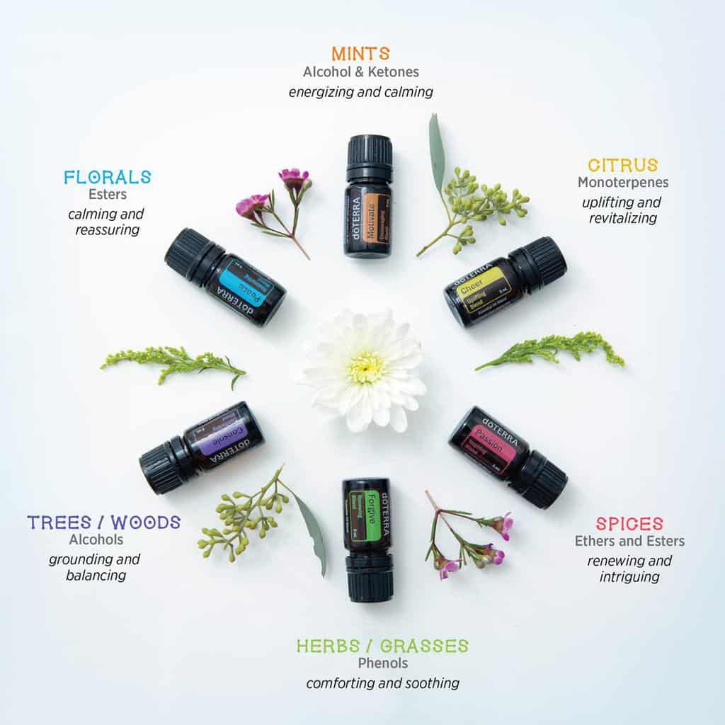 doTERRA Aromatherapy Infographic