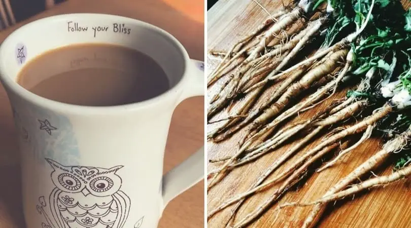 Dandelion Root Tea Spiced Chai Recipe