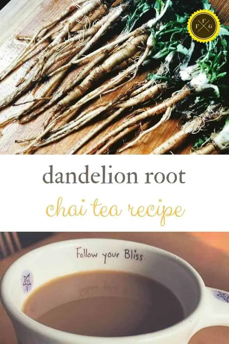 Healthy chai tea recipe using dandelion root