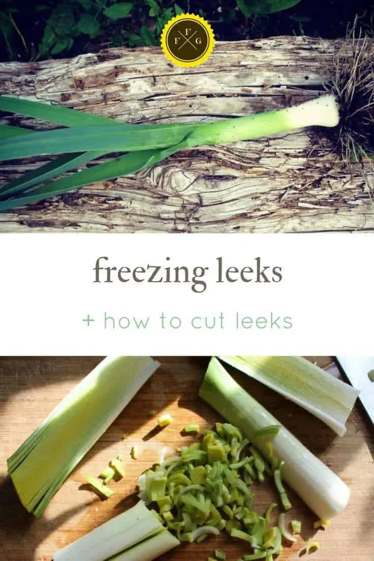 How to cut leeks and freeze leeks for later use