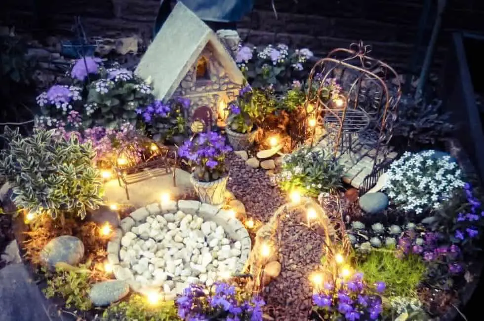 Fairy garden ideas