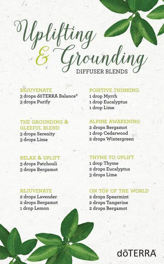 Best Essential Oil Blends for your Diffuser Family Food Garden