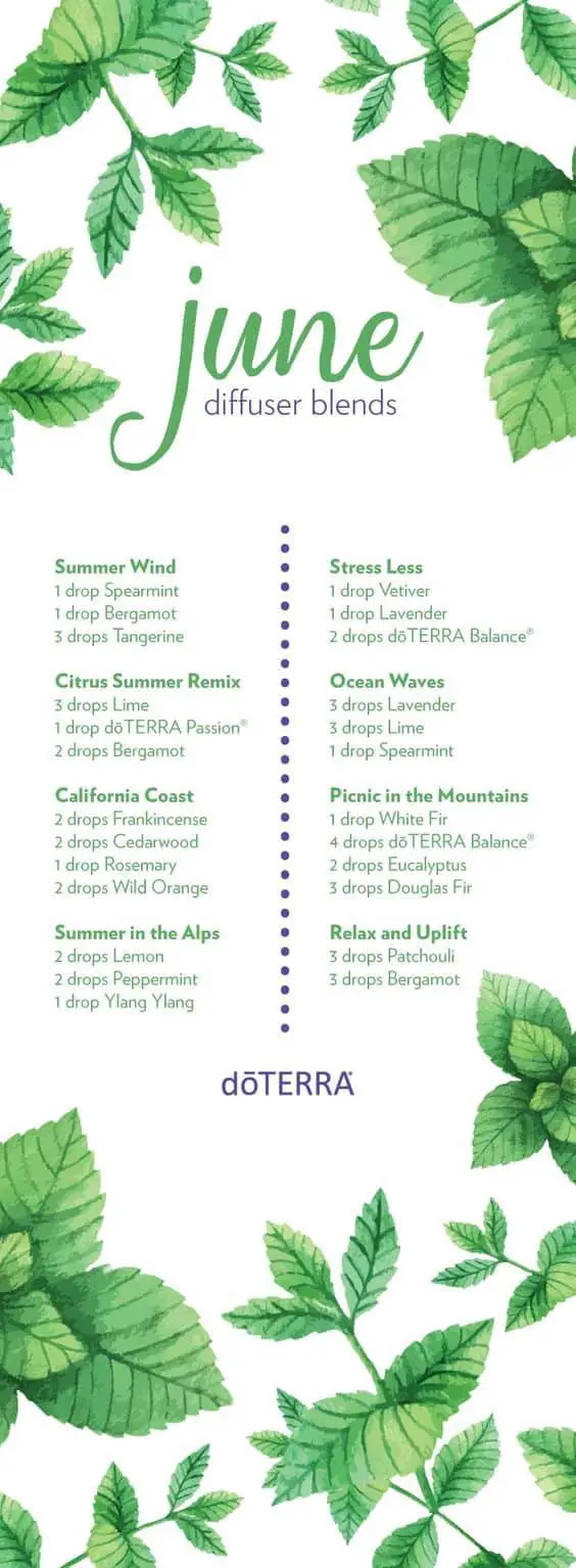 Best Essential Oil Blends For Your Diffuser Family Food Garden
