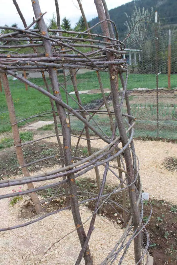 Weave a wooden garden trellis