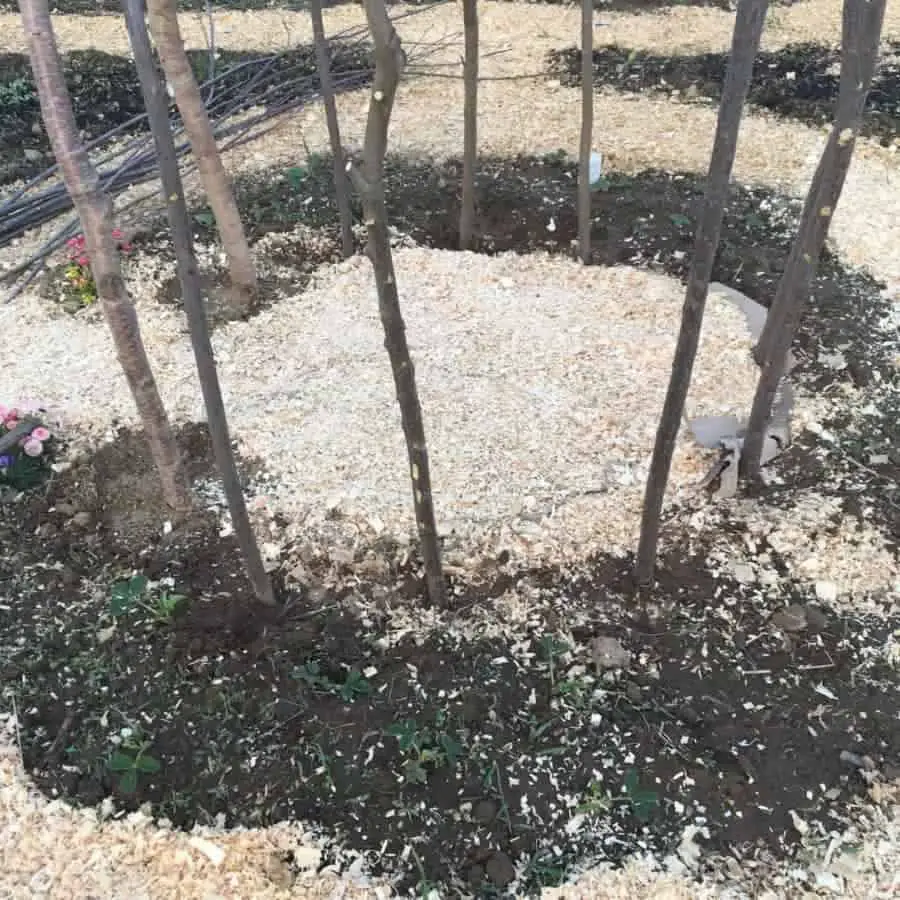 Place large supporting branches in a circle about 1 foot apart
