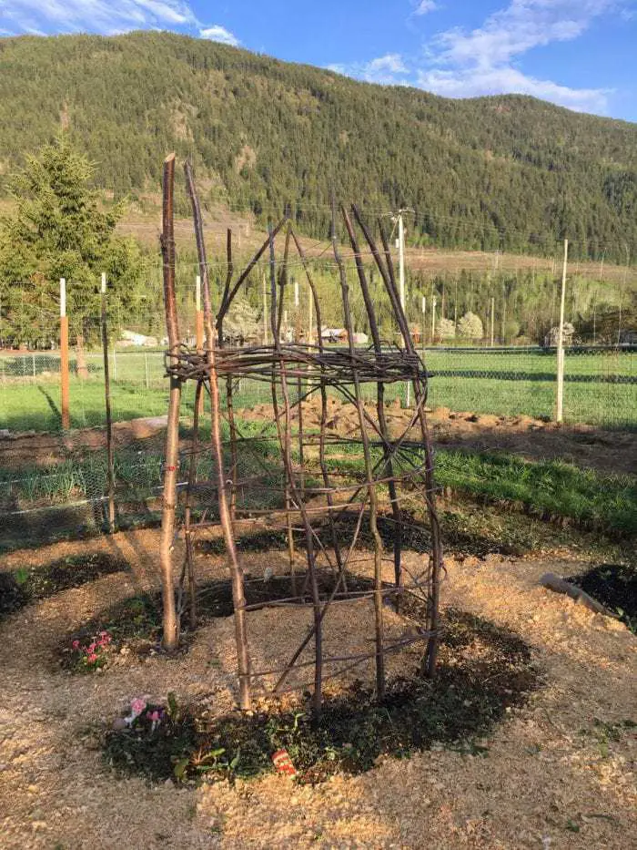 DIY Garden Trellis with Re-Purposed Wood