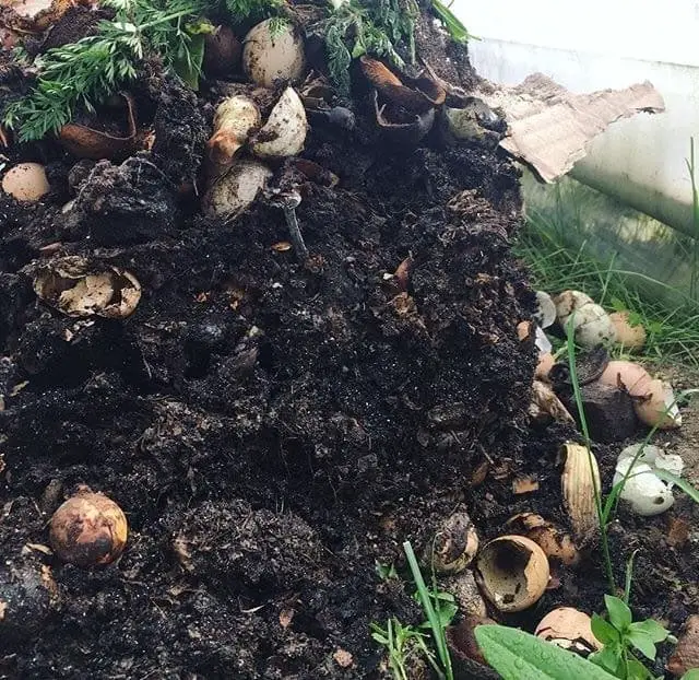 How to Make Compost