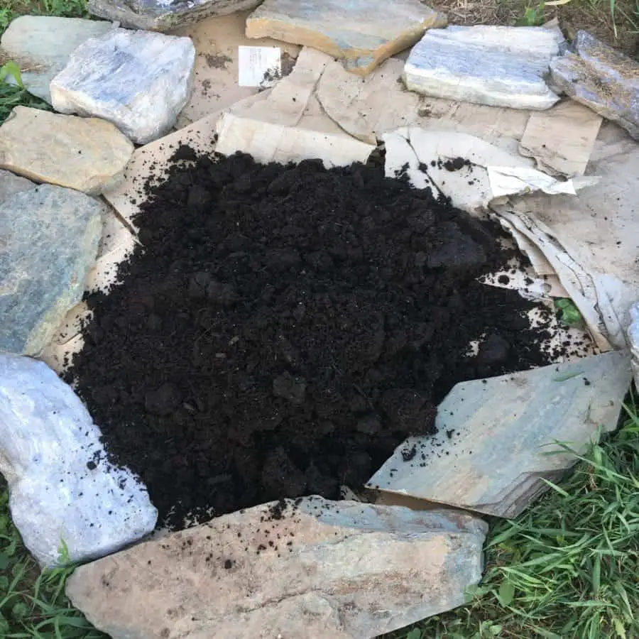 Planting a mint herb rock garden bed