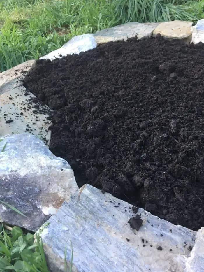 Planting a rock garden bed