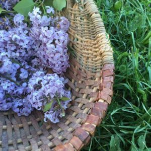 lilac flower recipes