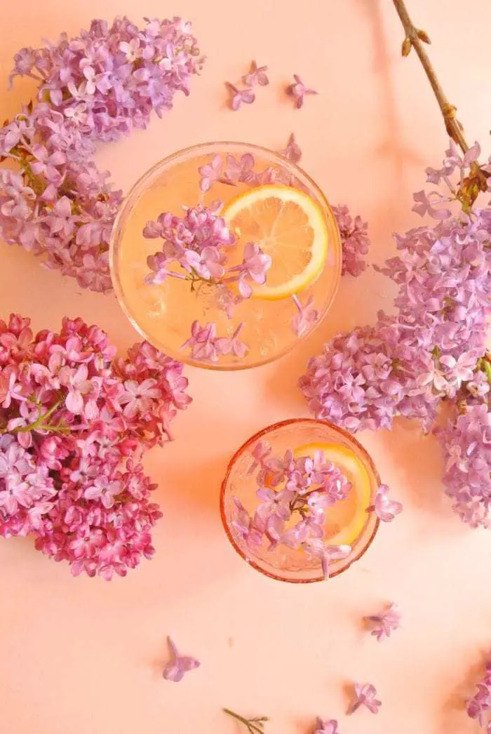 Lilac flower cocktail