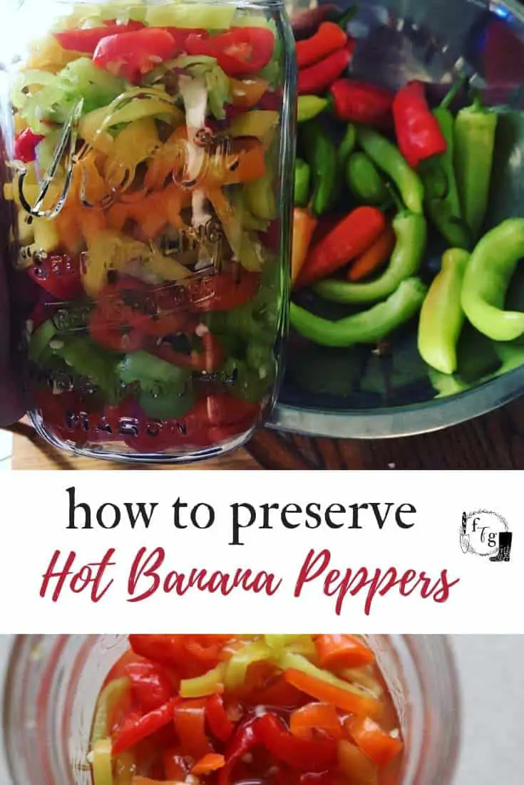 Fermenting Banana Pepper Rings