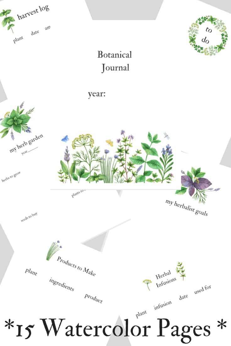 Watercolor herbalist planner