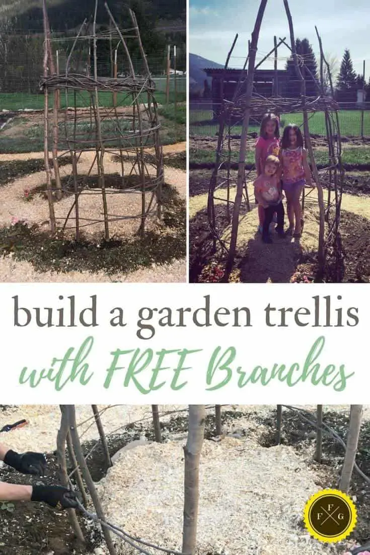 Fun garden design for vertical gardening! DIY garden trellis made with repurposed wooden branches. Learn how to build a garden trellis and wooden playhouse.