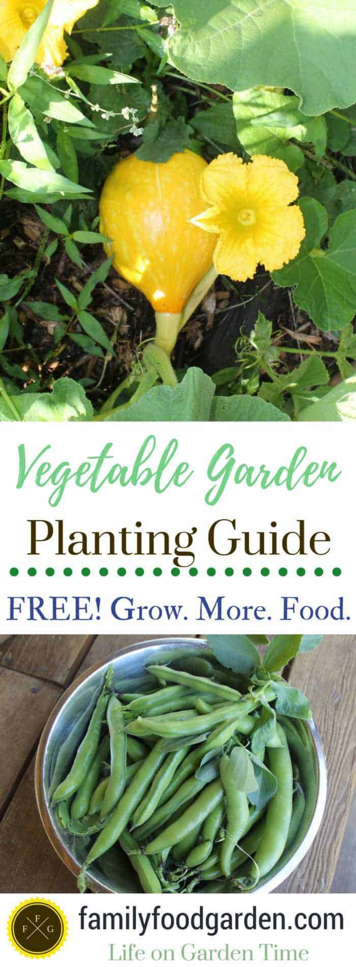 FREE vegetable garden planting guide