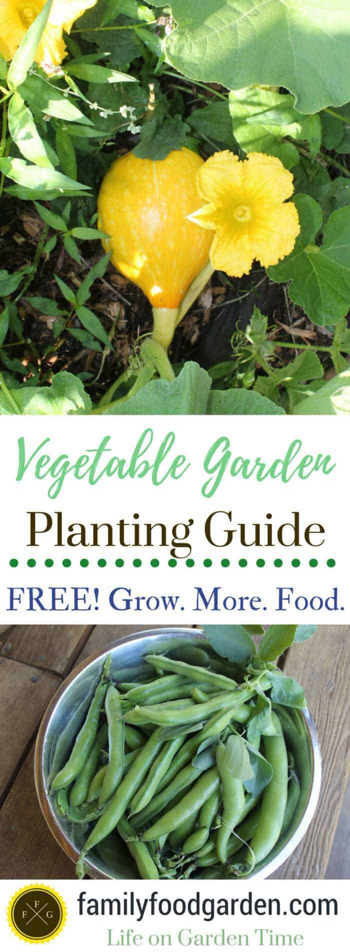 Vegetable Garden Planting Guide | Family Food Garden