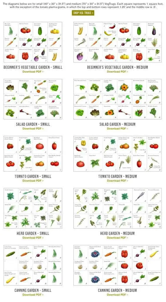 Square foot gardening method